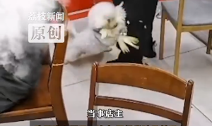 【好看】短剧《一桥照人心》完整版